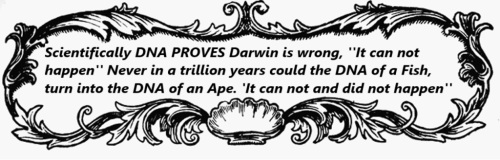 darwin is wrong