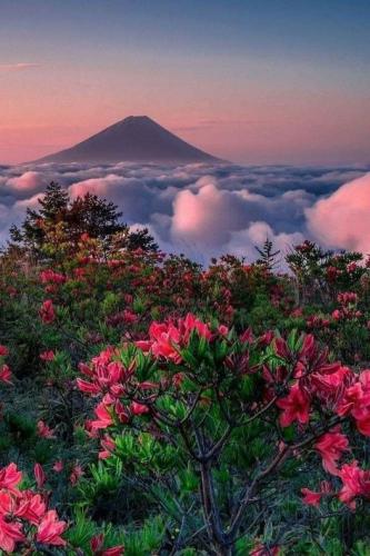 277486509_3083615881854867_2102673598428681859_n