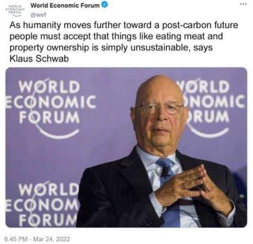 24502196-51b5-4369-afc9-cd4634e587d7