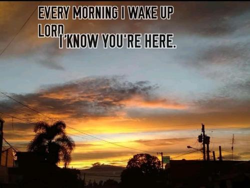 db65295c-f2c6-4947-9fa5-ad5fef32b8a7