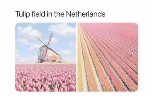 received_2092068574283124_kindlephoto-2297568421