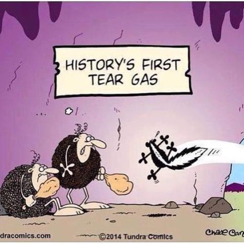 FB_IMG_1646330965675