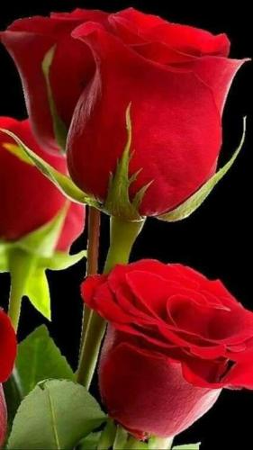 21:55:14 GMT-0500 (CDT)