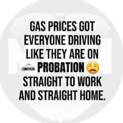 FB_IMG_1646847414066