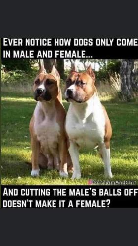 FB_IMG_1648019199318