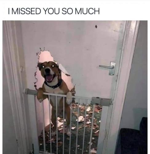 FB_IMG_1647712738274