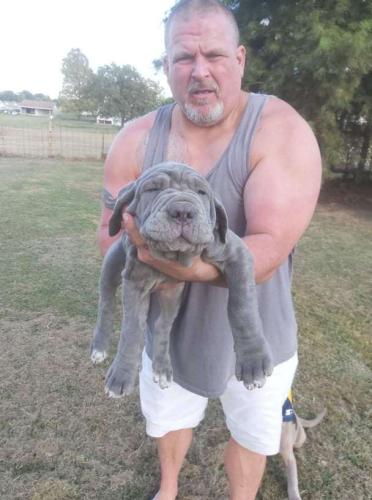 313255d6-9491-4ffa-a497-10cf8b4d1b9f