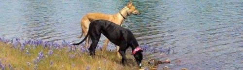 638e082f-825e-4e5c-851a-a0b09fc23649