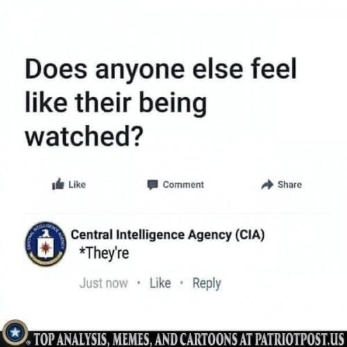 _()_2c