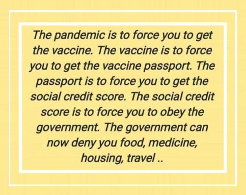 the pandemic