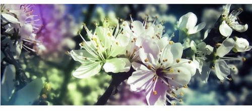 62F6F936-0B92-4344-A69D-EC8F5881C51E