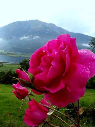 11:07:10 GMT-0500 (CDT)