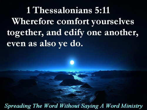 277275640_549730009685038_8675469671214497076_n