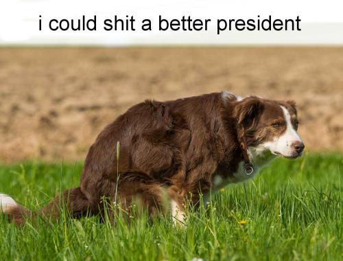 biden1003