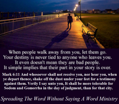 55549717_2233236030091849_9055201939544866816_n