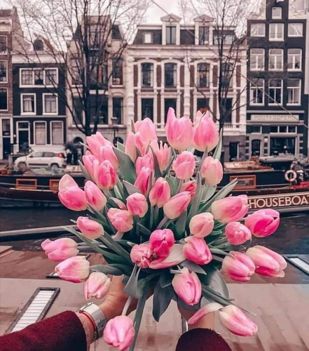 Screenshot_2022-03-15-22-03-36_kindlephoto-10547160336