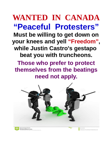 Peaceful_protesters