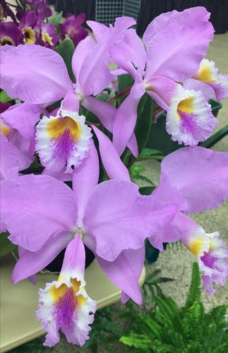 09:49:07 GMT-0600 (CST)