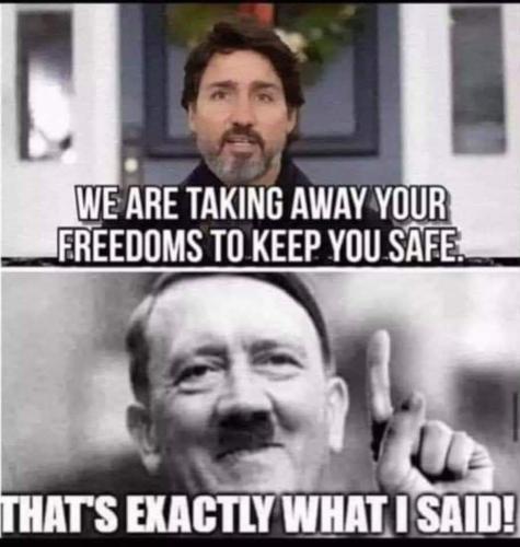 FB_IMG_1646685552664