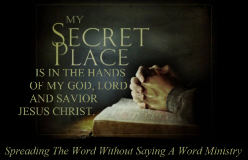 61867523_2356229021125882_3170557218823077888_n