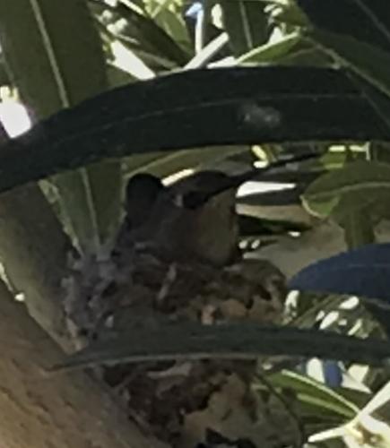 0DD6990B-A719-400F-B130-F6F845504BAC