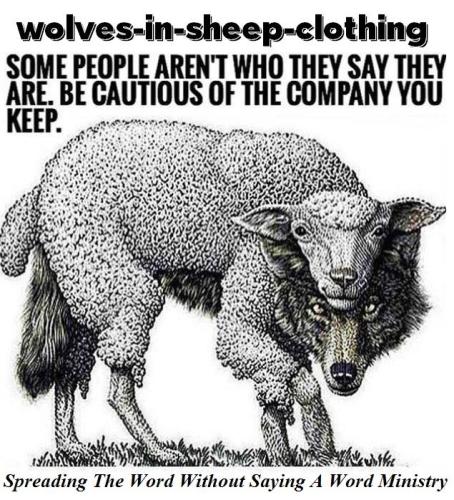 57462871_2281514565263995_3332502362332856320_n