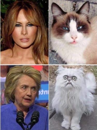 21:33:48 GMT-0500 (CDT).image