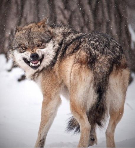 c4d14e6c1636a7af62dfc8d47ea133e8