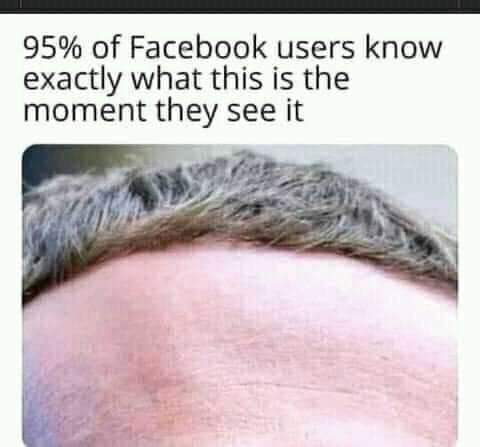 FB_IMG_1647629977566