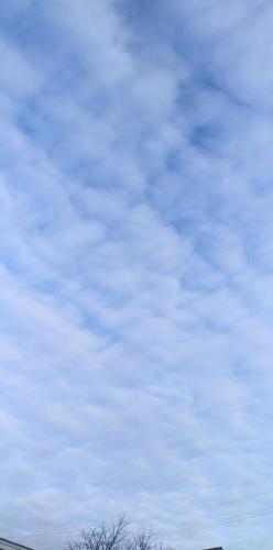 a21e440b-9963-4484-8827-9787d86e6458