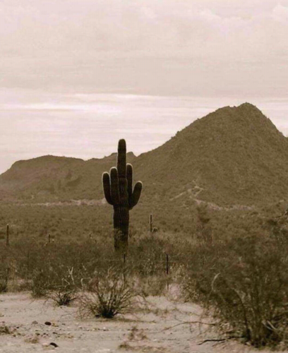 Screenshot_2022-02-27-17-05-44_kindlephoto-9238667820