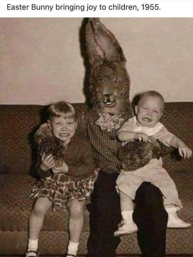 275791068_1437349150027940_3945760110310026586_n