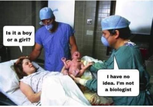 60cbfda9-4109-4460-8f55-466e4fe81689