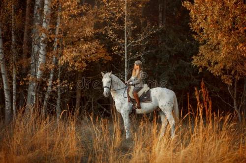 beautiful-young-woman-english-hunter-wear-style-knabstrupper-horse-beautiful-young-woman-english-hunter-wear-style-233011007