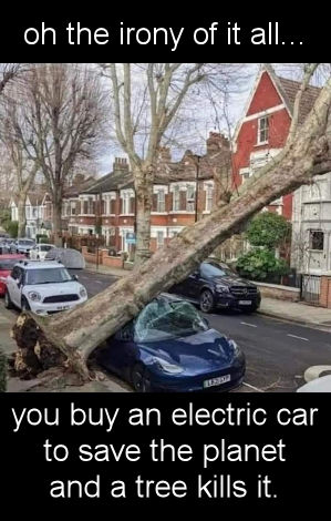 you buy an electric car to save the planet and a tree kills it