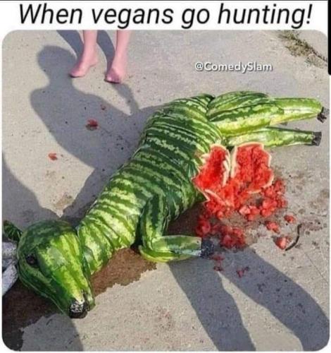 FB_IMG_1647972239199