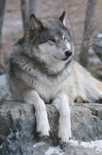 09:51:45 GMT-0600 (CST)