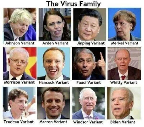 Virus Family 1