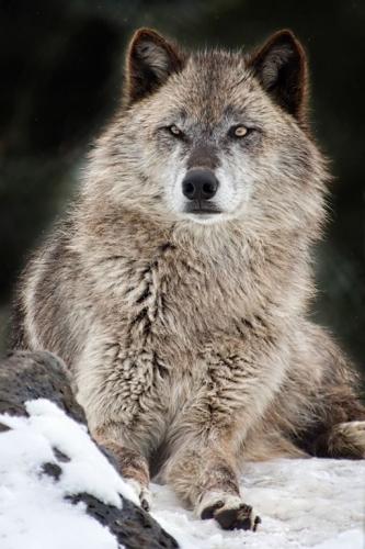 6f4a65d27c5089979e82d52b3529e3a1