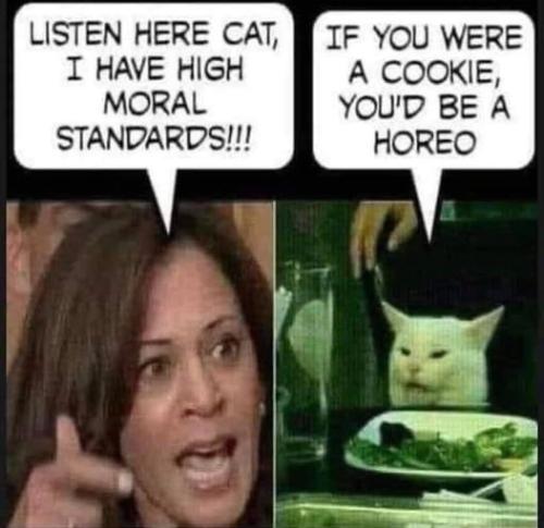 275566325_1018752559020823_3481982929439839906_n