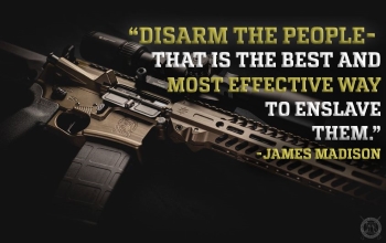 disarm