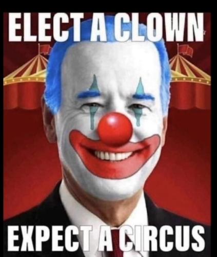 Elect A Clown Expect A Circus