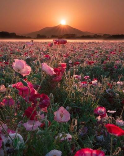 tumblr_4748a6a1da2d7712c933fa6d9a1037f9_131d770d_540