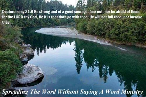 56935181_2264724176943034_1344615386905051136_n