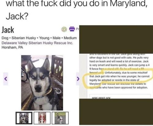 00:25:45 GMT-0500 (CDT).image