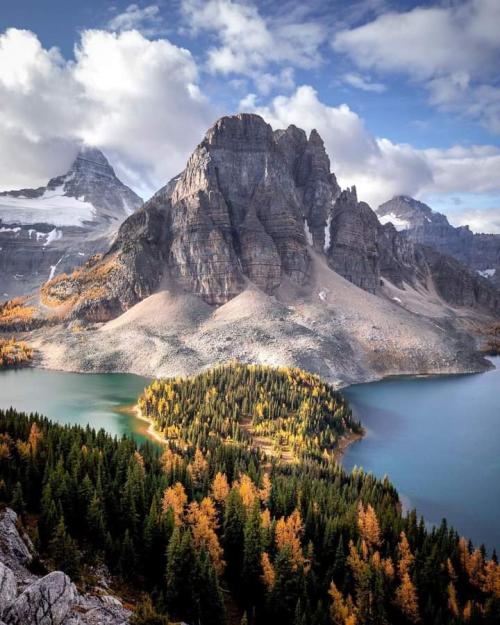 FB_IMG_1647283378382