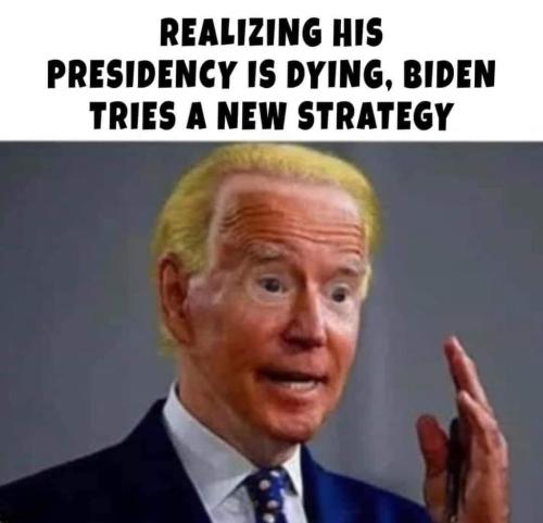 FB_IMG_1646443706789