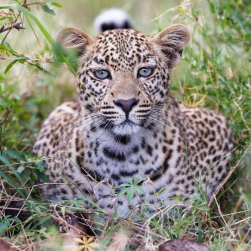 tumblr_81997692c279ba9c1acfa54a13246b05_aeb473d1_540