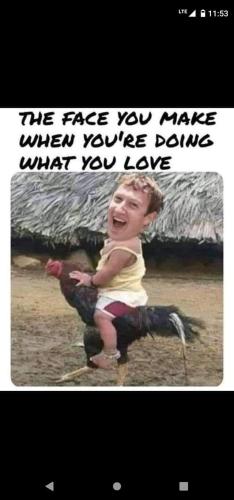 FB_IMG_1648045963839