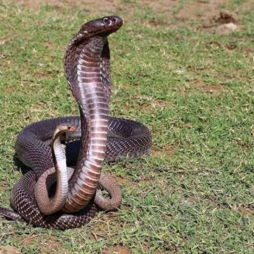 tumblr_5c0246996ba016b71b7d763a53c128cb_49a4c52a_540